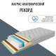 Матрас "Рекорд" Матрас "Рекорд"